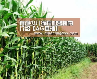 有渔少儿编程加盟机构介绍【AG直播】(图3) AG旗舰厅