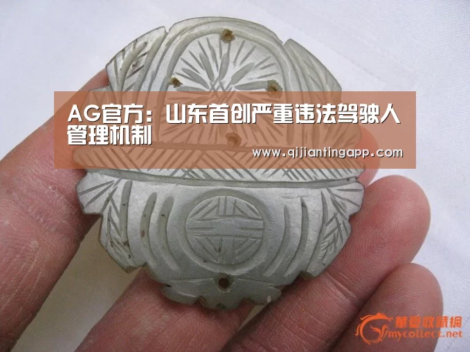 AG官方:山东首创严重违法驾驶人管理机制(图1) AG直播