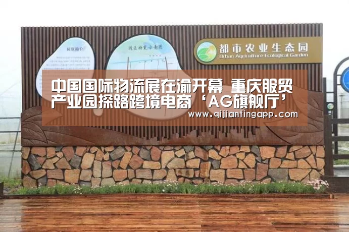 中国国际物流展在渝开幕 重庆服贸产业园探路跨境电商‘AG旗舰厅’(图2) AG官方